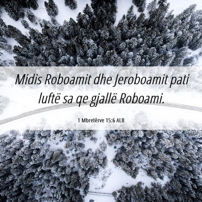 Picture 06 - 1 Mbretërve 15:6 ALB - Midis Roboamit dhe Jeroboamit pati luftë sa qe - Bible Verse Picture