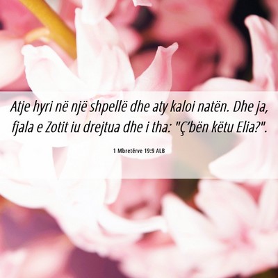 Picture 06 - 1 Mbretërve 19:9 ALB - Atje hyri në një shpellë dhe aty kaloi natën. - Bible Verse Picture