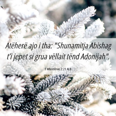 Picture 06 - 1 Mbretërve 2:21 ALB - Atëherë ajo i tha: 