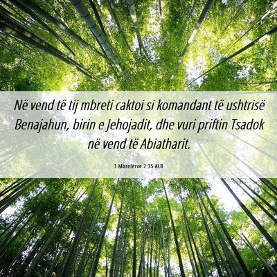 Picture 06 - 1 Mbretërve 2:35 ALB - Në vend të tij mbreti caktoi si komandant të - Bible Verse Picture