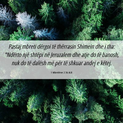 Picture 06 - 1 Mbretërve 2:36 ALB - Pastaj mbreti dërgoi të thërrasin Shimein dhe - Bible Verse Picture