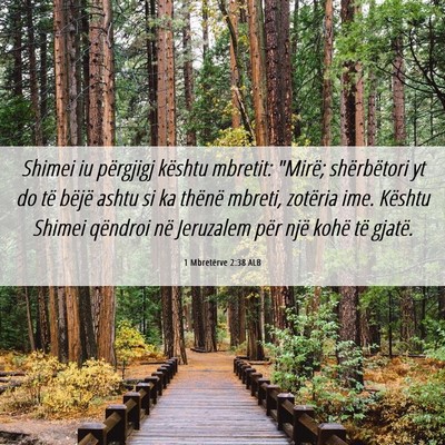 Picture 06 - 1 Mbretërve 2:38 ALB - Shimei iu përgjigj kështu mbretit: 