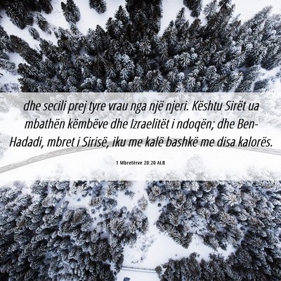 Picture 06 - 1 Mbretërve 20:20 ALB - dhe secili prej tyre vrau nga një njeri. Kështu - Bible Verse Picture