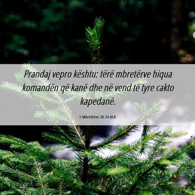 Picture 06 - 1 Mbretërve 20:24 ALB - Prandaj vepro kështu: tërë mbretërve hiqua - Bible Verse Picture