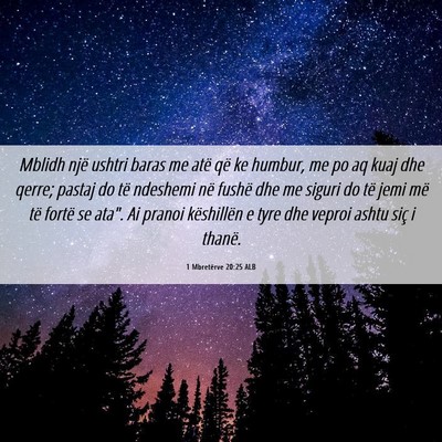 Picture 06 - 1 Mbretërve 20:25 ALB - Mblidh një ushtri baras me atë që ke humbur, - Bible Verse Picture