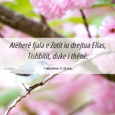 Picture 06 - 1 Mbretërve 21:28 ALB - Atëherë fjala e Zotit iu drejtua Elias, - Bible Verse Picture