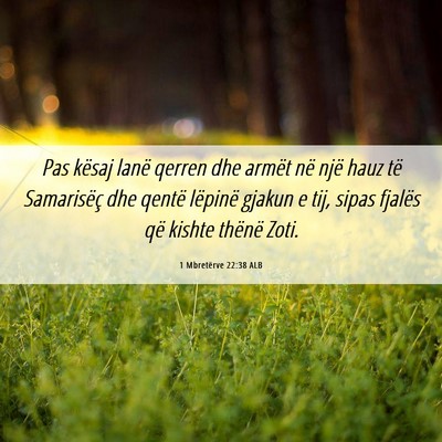 Picture 06 - 1 Mbretërve 22:38 ALB - Pas kësaj lanë qerren dhe armët në një hauz - Bible Verse Picture