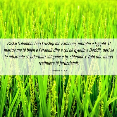 Picture 06 - 1 Mbretërve 3:1 ALB - Pastaj Salomoni bëri krushqi me Faraonin, - Bible Verse Picture