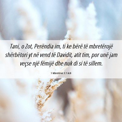 Picture 06 - 1 Mbretërve 3:7 ALB - Tani, o Zot, Perëndia im, ti ke bërë të - Bible Verse Picture