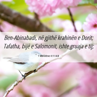 Picture 06 - 1 Mbretërve 4:11 ALB - Ben-Abinabadi, në gjithë krahinën e Dorit; - Bible Verse Picture