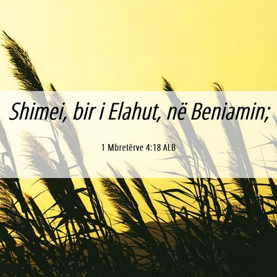 Picture 06 - 1 Mbretërve 4:18 ALB - Shimei, bir i Elahut, në - Bible Verse Picture
