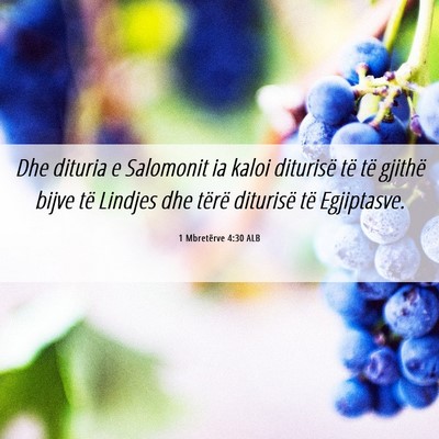 Picture 06 - 1 Mbretërve 4:30 ALB - Dhe dituria e Salomonit ia kaloi diturisë të - Bible Verse Picture