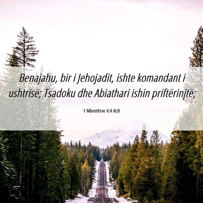 Picture 06 - 1 Mbretërve 4:4 ALB - Benajahu, bir i Jehojadit, ishte komandant i - Bible Verse Picture