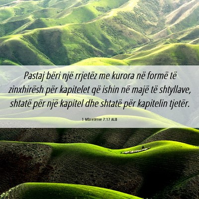 Picture 06 - 1 Mbretërve 7:17 ALB - Pastaj bëri një rrjetëz me kurora në formë - Bible Verse Picture