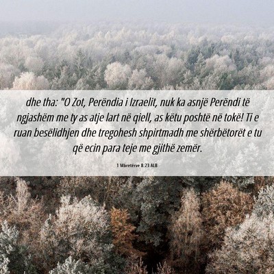 Picture 06 - 1 Mbretërve 8:23 ALB - dhe tha: 