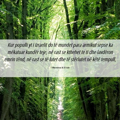 Picture 06 - 1 Mbretërve 8:33 ALB - Kur populli yt i Izraelit do të mundet para - Bible Verse Picture