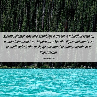 Picture 06 - 1 Mbretërve 8:5 ALB - Mbreti Salomon dhe tërë asambleja e Izraelit, e - Bible Verse Picture