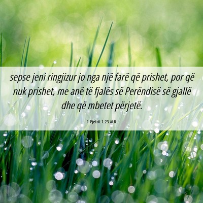 Picture 06 - 1 Pjetrit 1:23 ALB - sepse jeni ringjizur jo nga një farë që - Bible Verse Picture