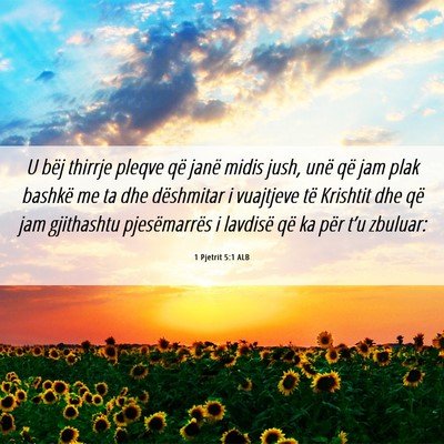 Picture 06 - 1 Pjetrit 5:1 ALB - U bëj thirrje pleqve që janë midis jush, unë - Bible Verse Picture