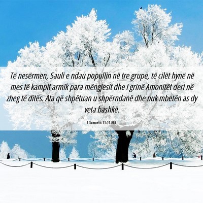 Picture 06 - 1 Samuelit 11:11 ALB - Të nesërmen, Sauli e ndau popullin në tre - Bible Verse Picture