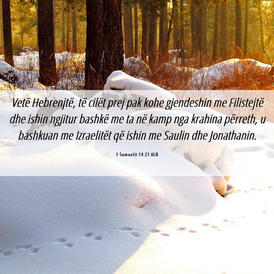 Picture 06 - 1 Samuelit 14:21 ALB - Vetë Hebrenjtë, të cilët prej pak kohe - Bible Verse Picture