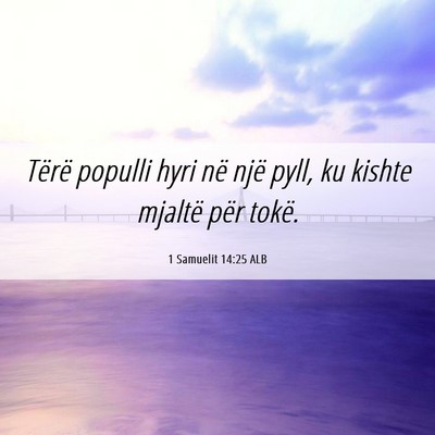 Picture 06 - 1 Samuelit 14:25 ALB - Tërë populli hyri në një pyll, ku kishte - Bible Verse Picture