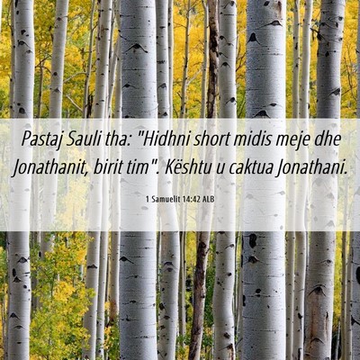 Picture 06 - 1 Samuelit 14:42 ALB - Pastaj Sauli tha: 