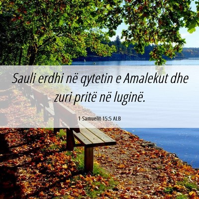 Picture 06 - 1 Samuelit 15:5 ALB - Sauli erdhi në qytetin e Amalekut dhe zuri - Bible Verse Picture