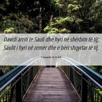Picture 06 - 1 Samuelit 16:21 ALB - Davidi arriti te Sauli dhe hyri në shërbim të - Bible Verse Picture