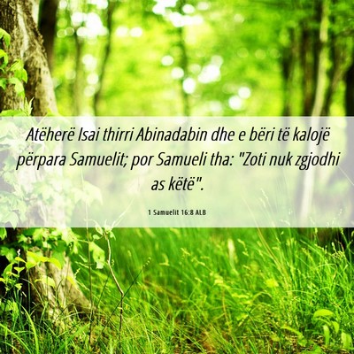 Picture 06 - 1 Samuelit 16:8 ALB - Atëherë Isai thirri Abinadabin dhe e bëri të - Bible Verse Picture