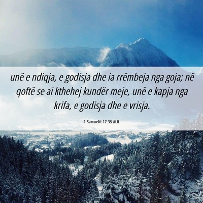 Picture 06 - 1 Samuelit 17:35 ALB - unë e ndiqja, e godisja dhe ia rrëmbeja nga - Bible Verse Picture