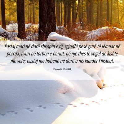 Picture 06 - 1 Samuelit 17:40 ALB - Pastaj mori në dorë shkopin e tij, zgjodhi - Bible Verse Picture