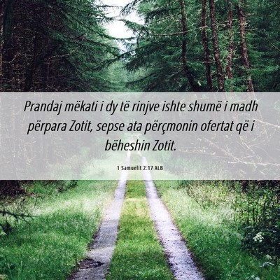Picture 06 - 1 Samuelit 2:17 ALB - Prandaj mëkati i dy të rinjve ishte shumë i - Bible Verse Picture
