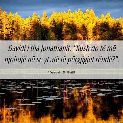 Picture 06 - 1 Samuelit 20:10 ALB - Davidi i tha Jonathanit: 