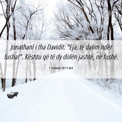 Picture 06 - 1 Samuelit 20:11 ALB - Jonathani i tha Davidit: 