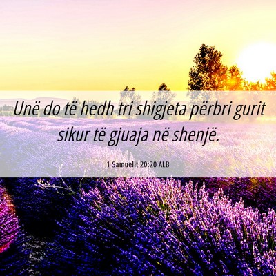 Picture 06 - 1 Samuelit 20:20 ALB - Unë do të hedh tri shigjeta përbri gurit sikur - Bible Verse Picture