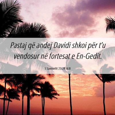 Picture 06 - 1 Samuelit 23:29 ALB - Pastaj që andej Davidi shkoi për t’u vendosur - Bible Verse Picture