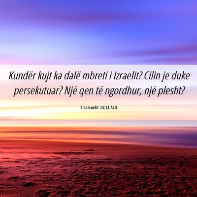 Picture 06 - 1 Samuelit 24:14 ALB - Kundër kujt ka dalë mbreti i Izraelit? Cilin je - Bible Verse Picture
