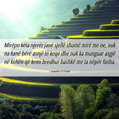 Picture 06 - 1 Samuelit 25:15 ALB - Mirëpo këta njerëz janë sjellë shumë mirë - Bible Verse Picture