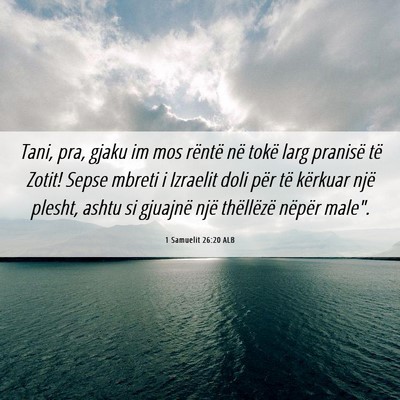 Picture 06 - 1 Samuelit 26:20 ALB - Tani, pra, gjaku im mos rëntë në tokë larg - Bible Verse Picture