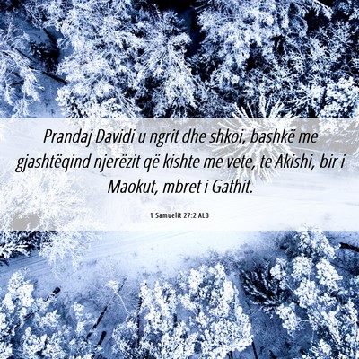 Picture 06 - 1 Samuelit 27:2 ALB - Prandaj Davidi u ngrit dhe shkoi, bashkë me - Bible Verse Picture