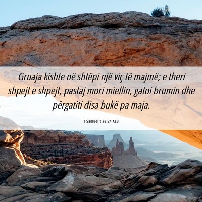 Picture 06 - 1 Samuelit 28:24 ALB - Gruaja kishte në shtëpi një viç të majmë; e - Bible Verse Picture