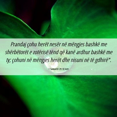 Picture 06 - 1 Samuelit 29:10 ALB - Prandaj çohu herët nesër në mëngjes bashkë - Bible Verse Picture
