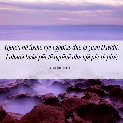 Picture 06 - 1 Samuelit 30:11 ALB - Gjetën në fushë një Egjiptas dhe ia çuan - Bible Verse Picture