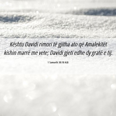 Picture 06 - 1 Samuelit 30:18 ALB - Kështu Davidi rimori të gjitha ato që - Bible Verse Picture