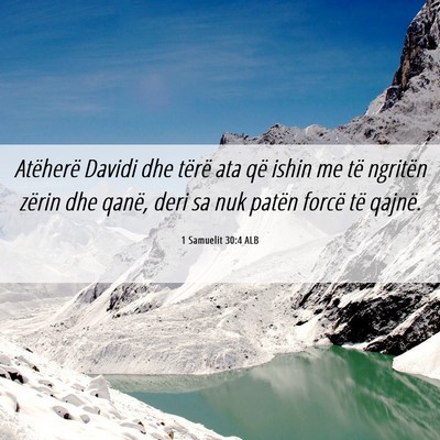 Picture 06 - 1 Samuelit 30:4 ALB - Atëherë Davidi dhe tërë ata që ishin me të - Bible Verse Picture