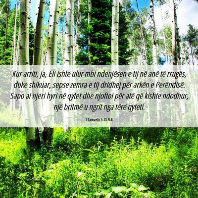 Picture 06 - 1 Samuelit 4:13 ALB - Kur arriti, ja, Eli ishte ulur mbi ndenjësen e - Bible Verse Picture