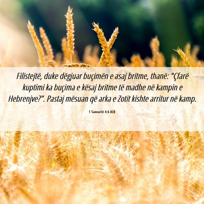 Picture 06 - 1 Samuelit 4:6 ALB - Filistejtë, duke dëgjuar buçimën e asaj - Bible Verse Picture