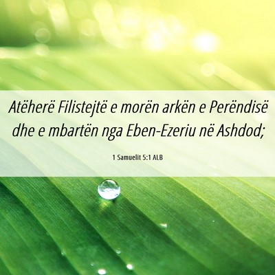 Picture 06 - 1 Samuelit 5:1 ALB - Atëherë Filistejtë e morën arkën e - Bible Verse Picture