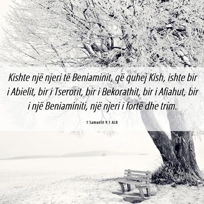 Picture 06 - 1 Samuelit 9:1 ALB - Kishte një njeri të Beniaminit, që quhej Kish, - Bible Verse Picture